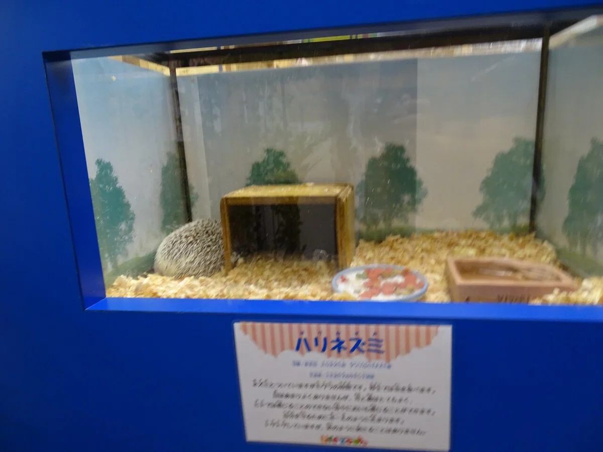 画像177