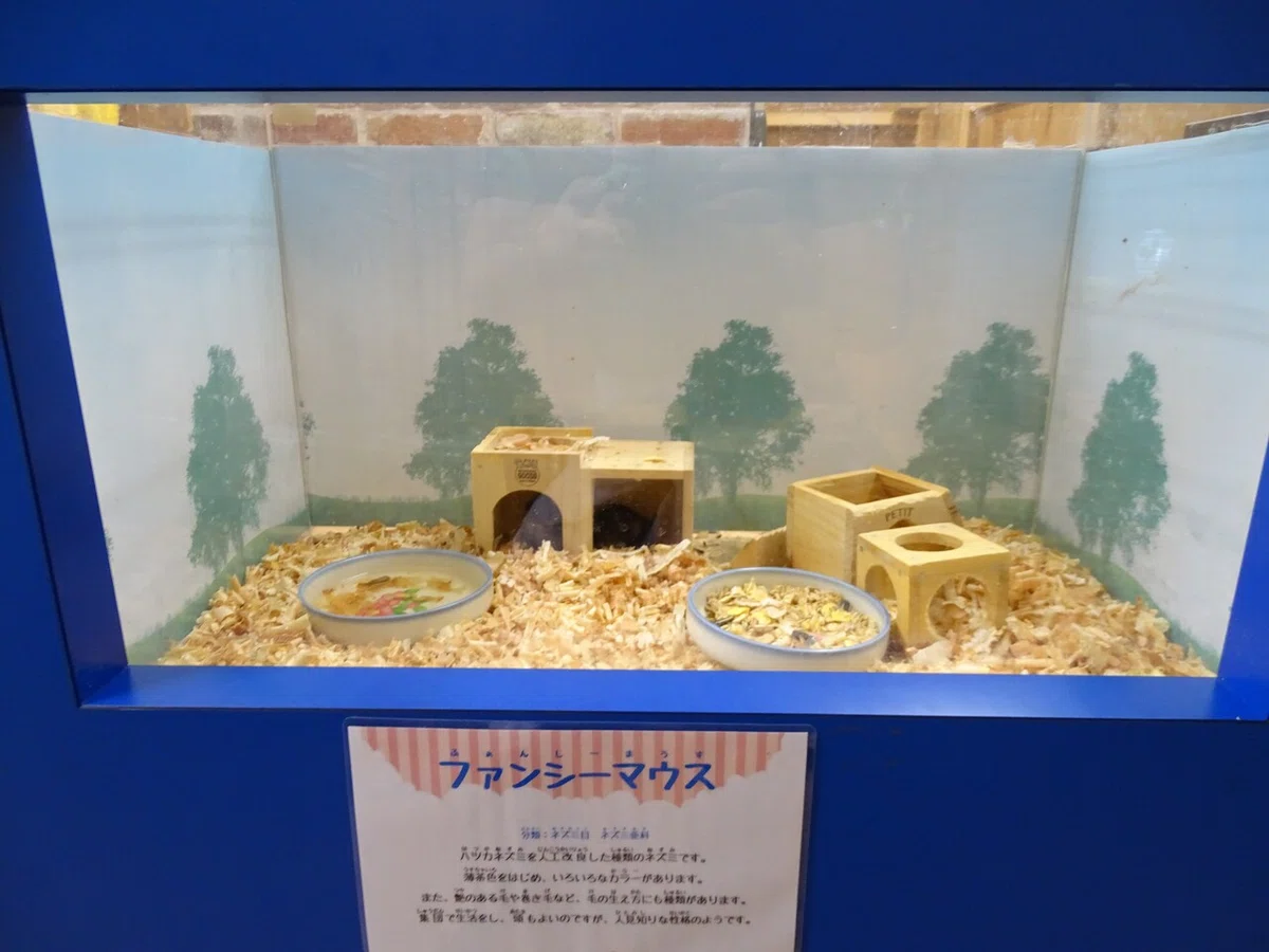画像175