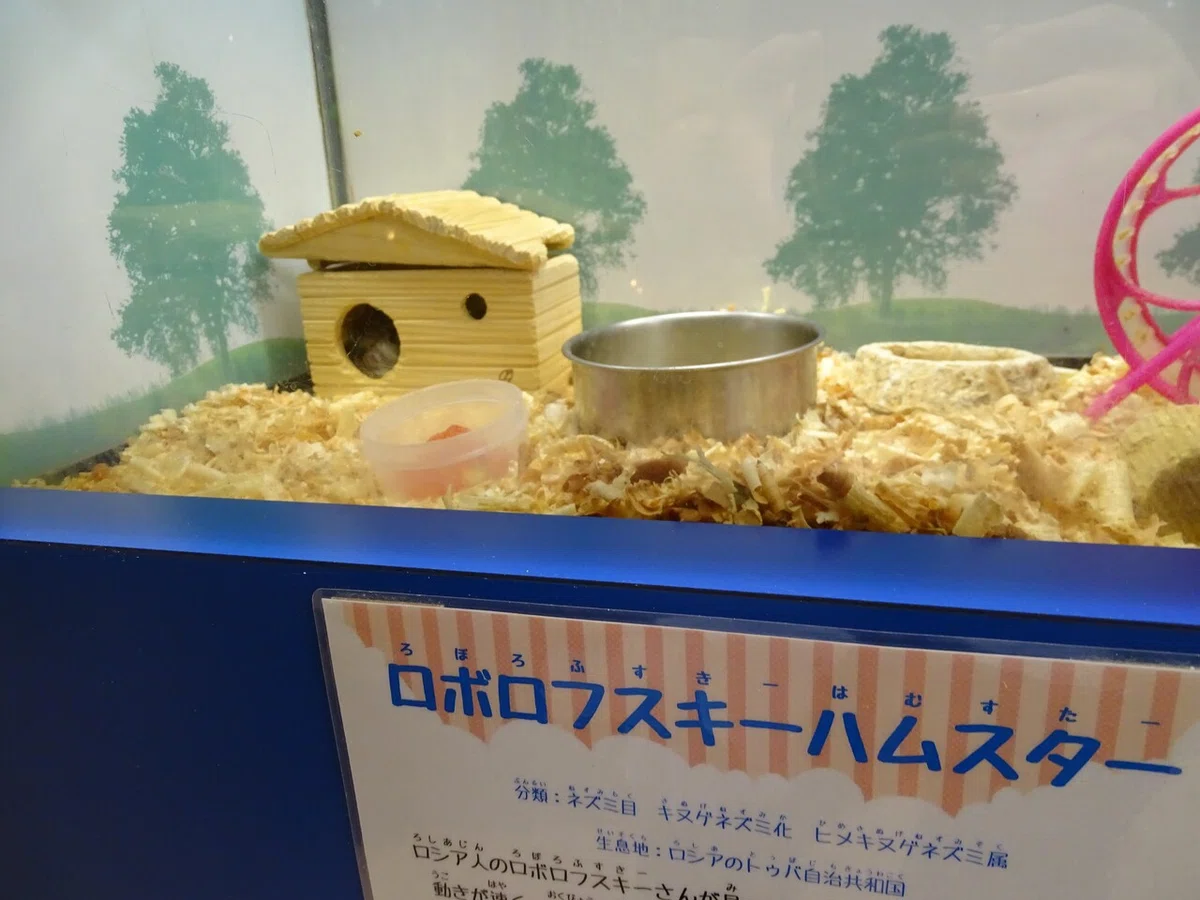 画像174