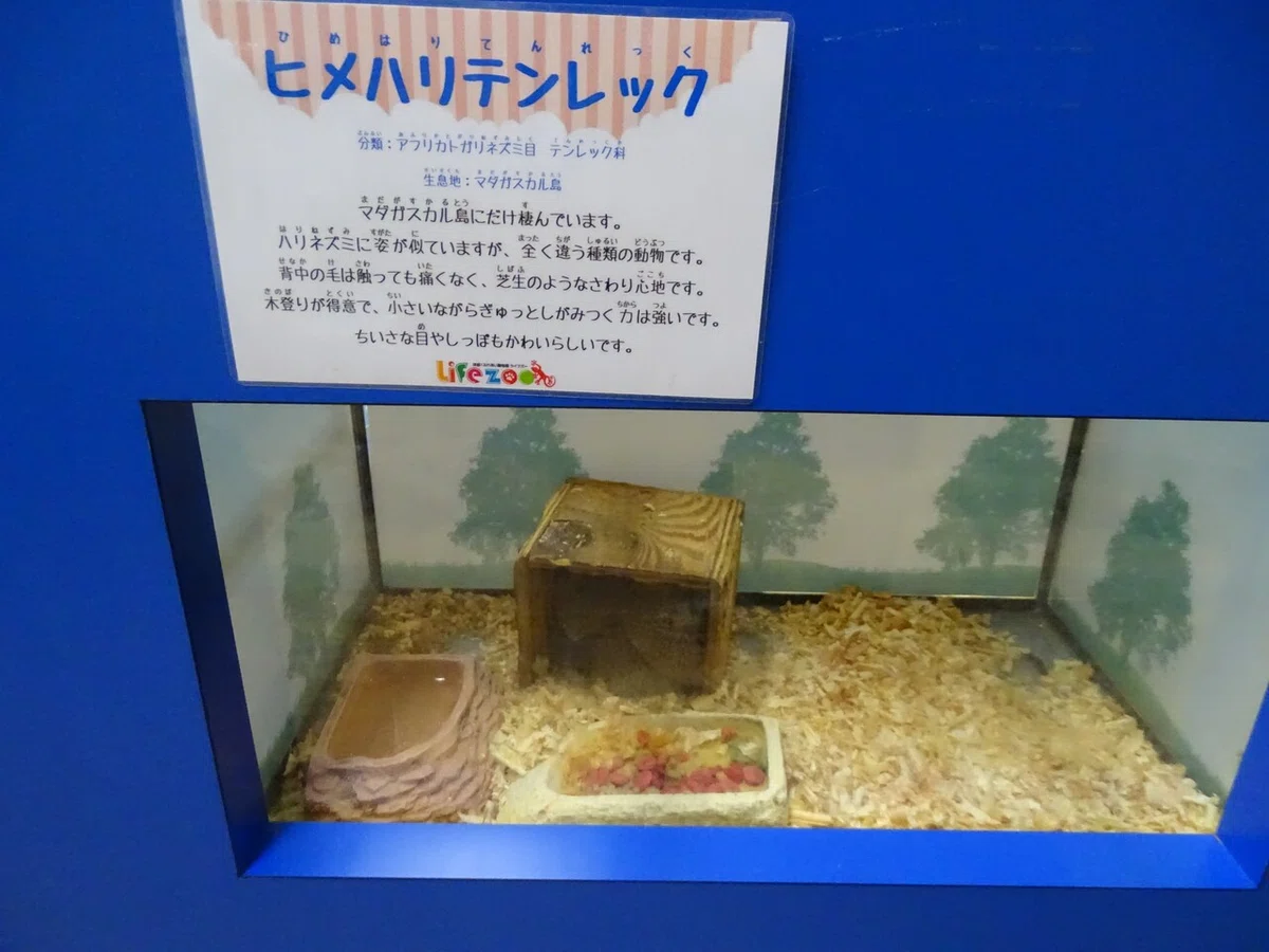 画像176