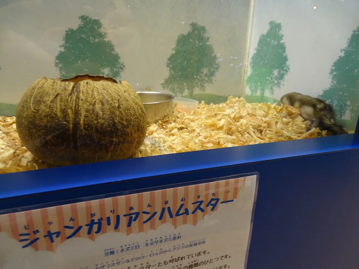 画像173