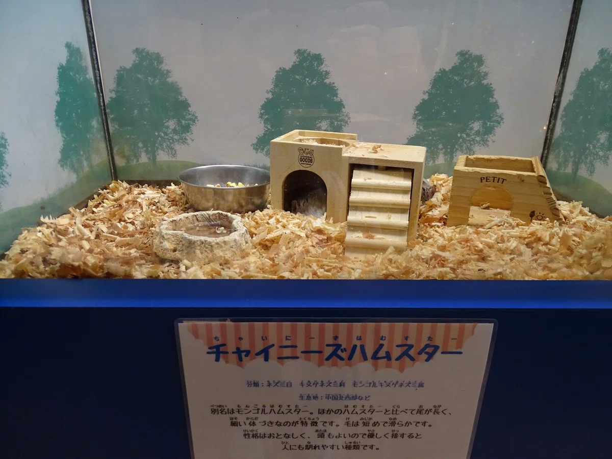 画像172