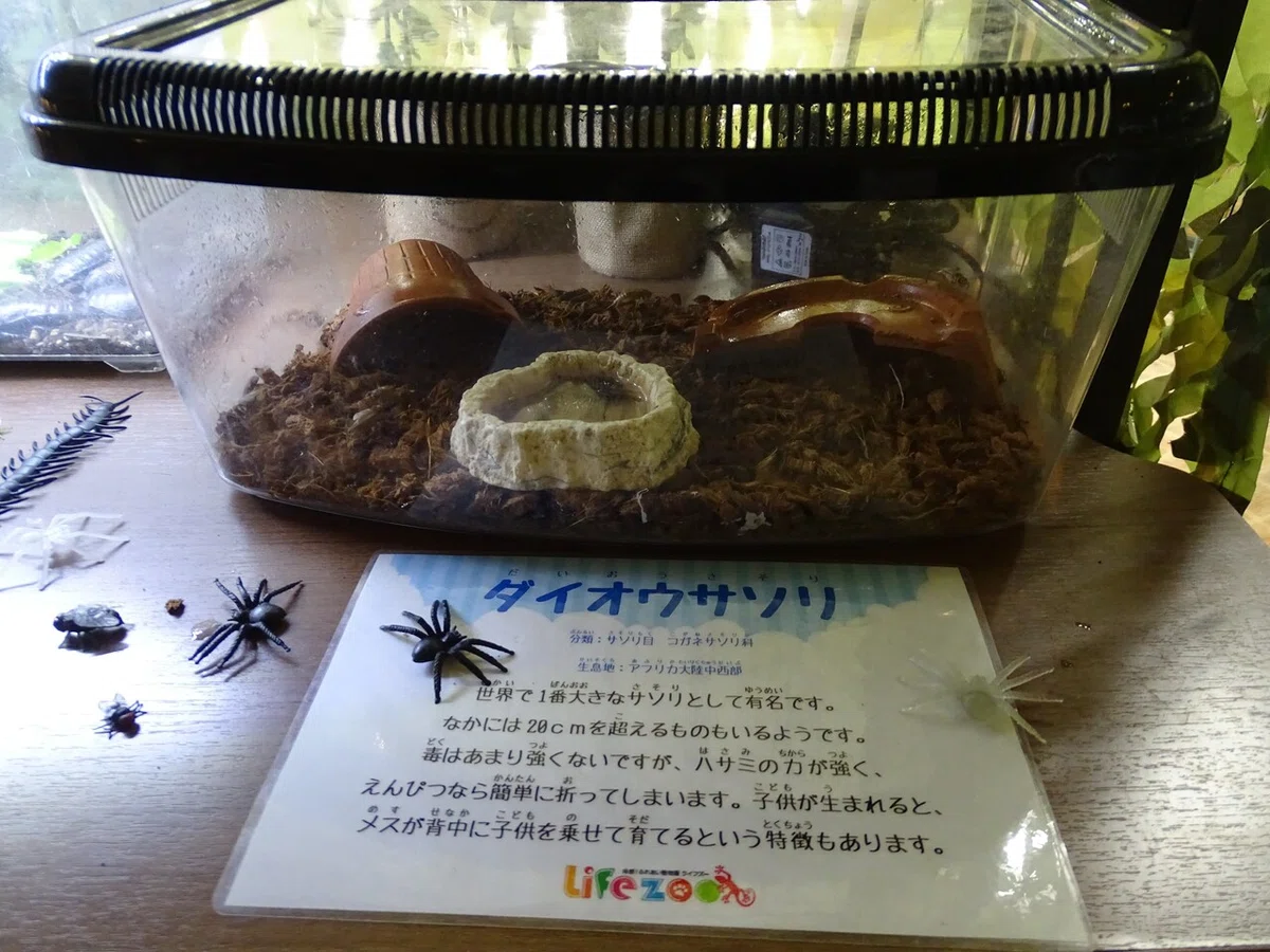画像157