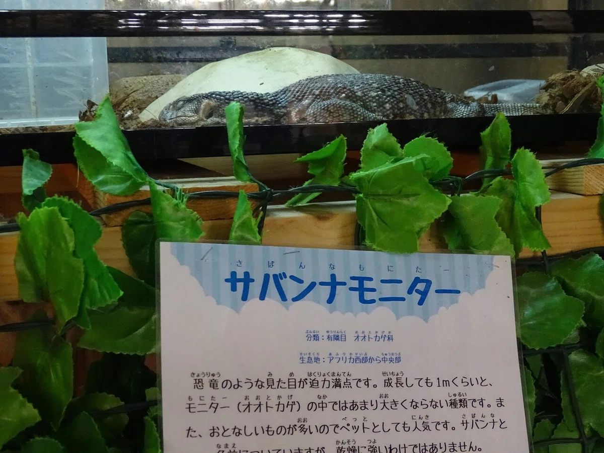 画像168