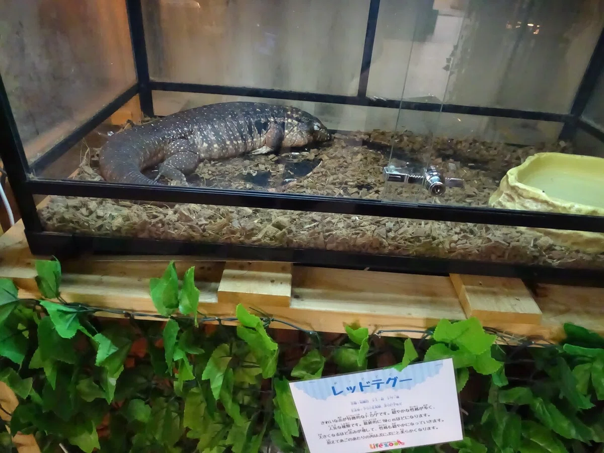 画像169