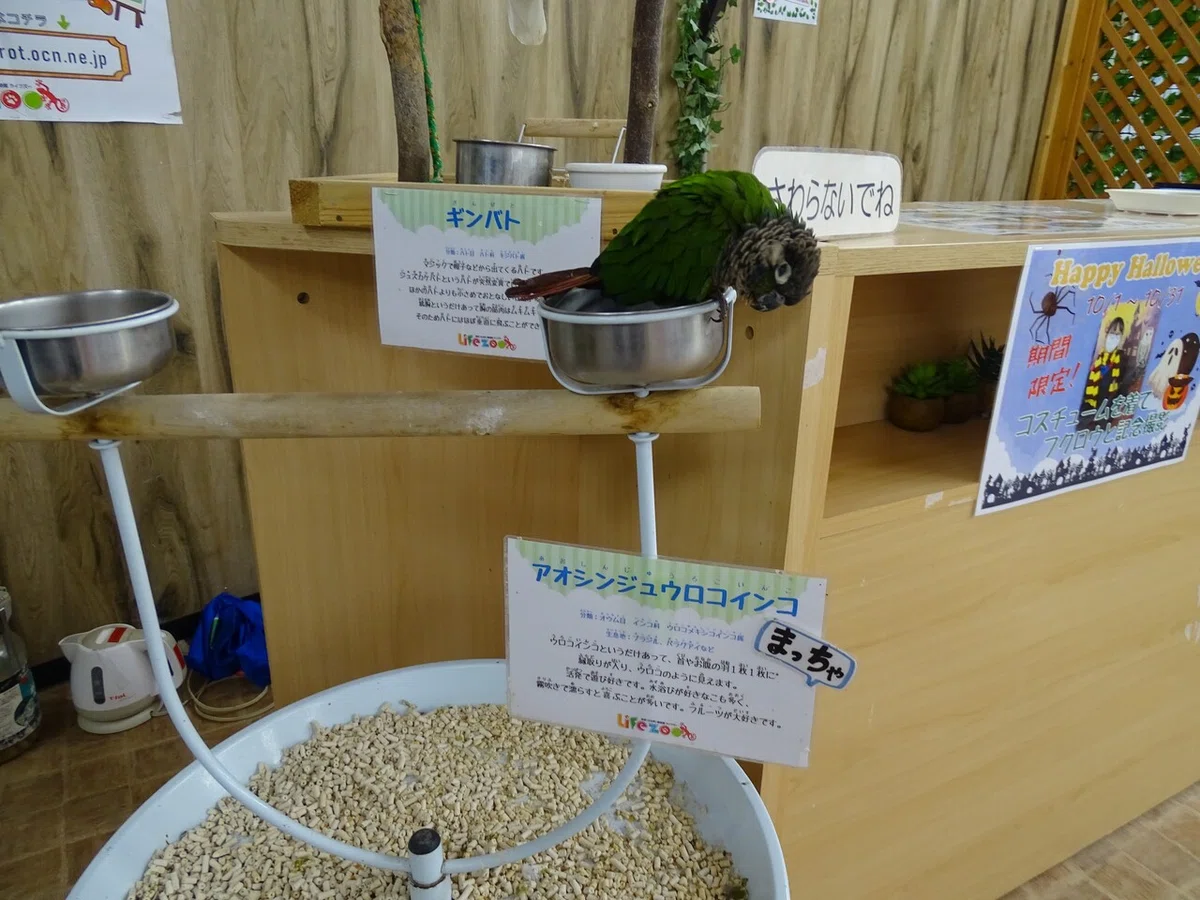 画像180