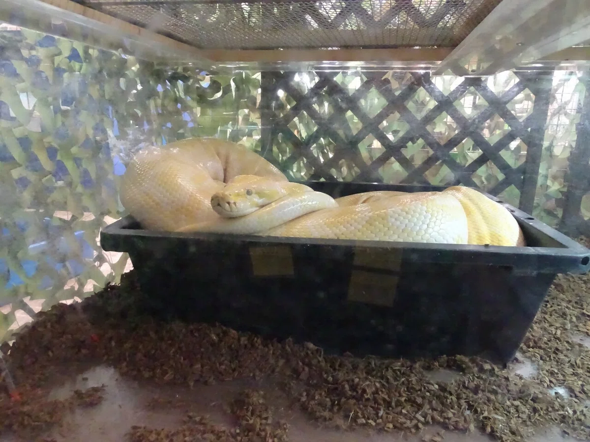 画像148