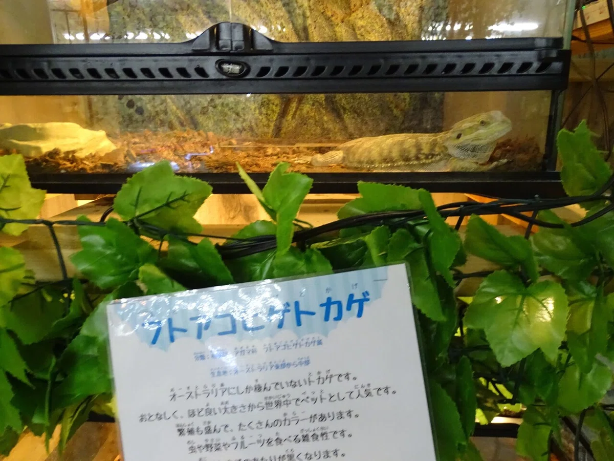 画像164