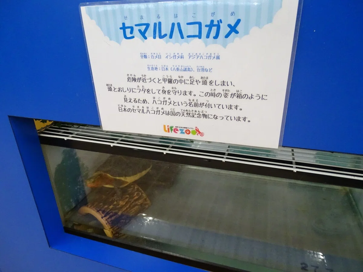 画像191