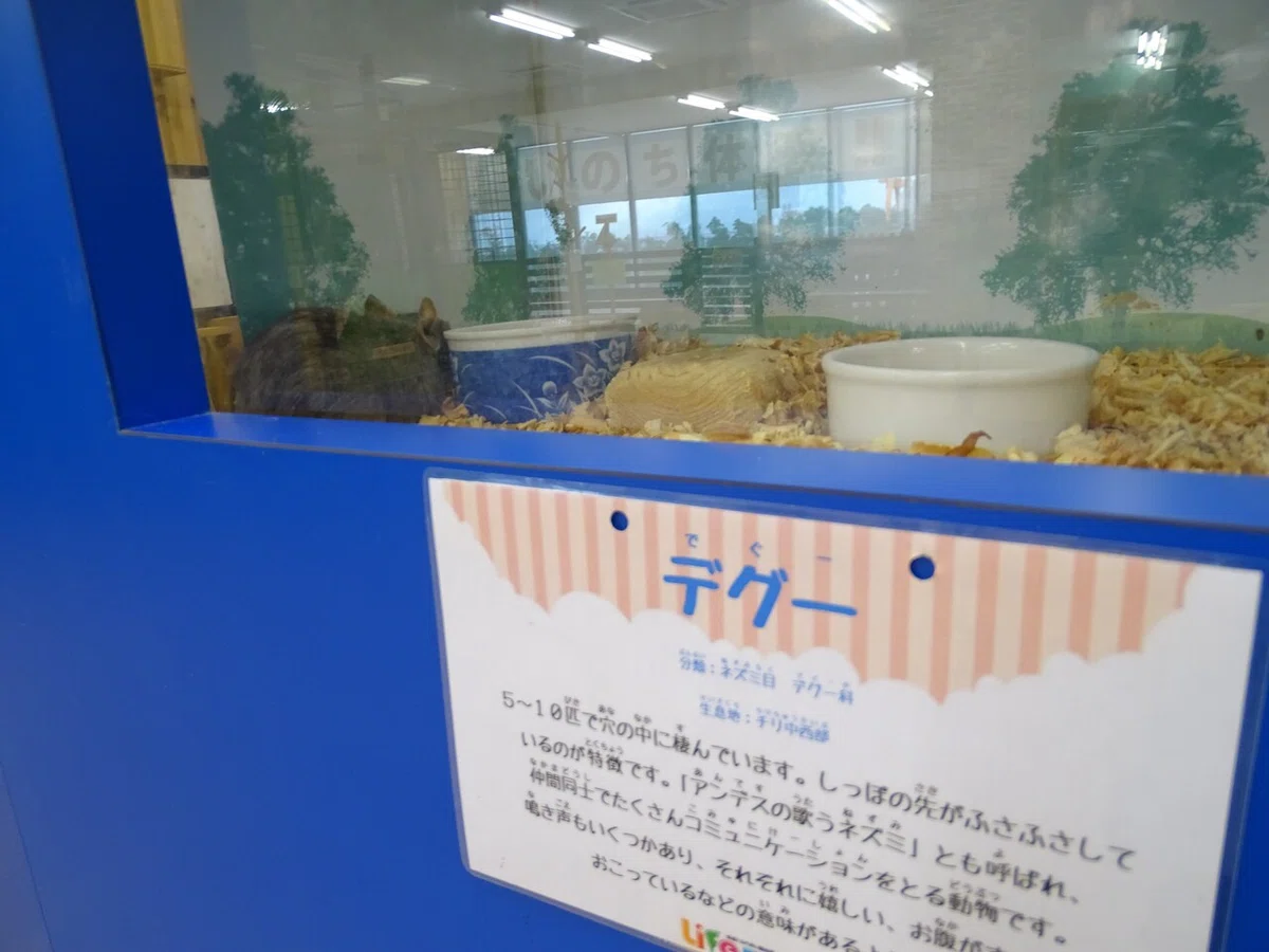 画像190