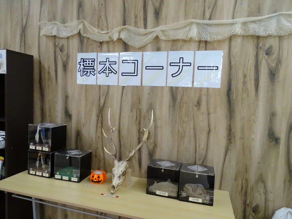 画像175