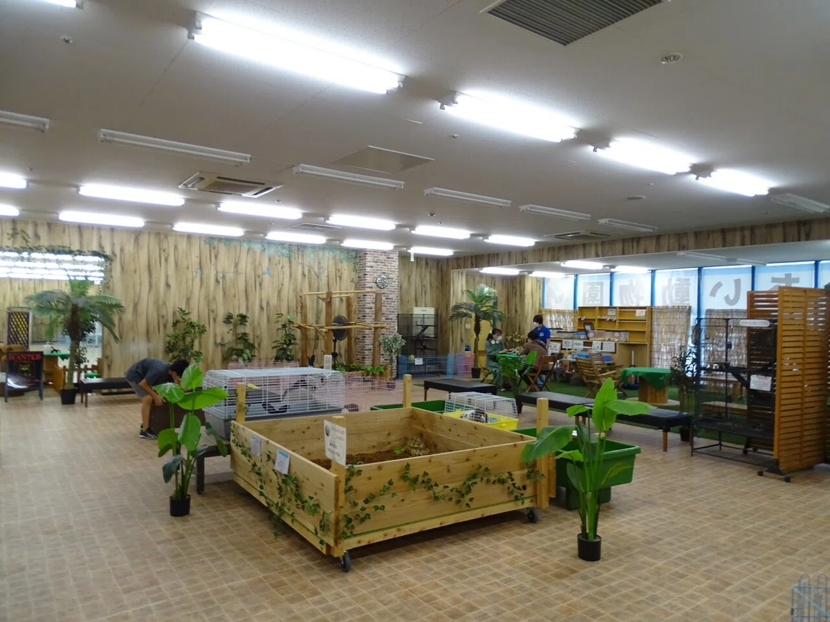 画像199