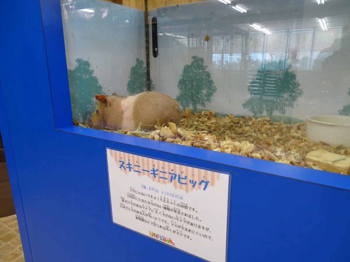 画像192