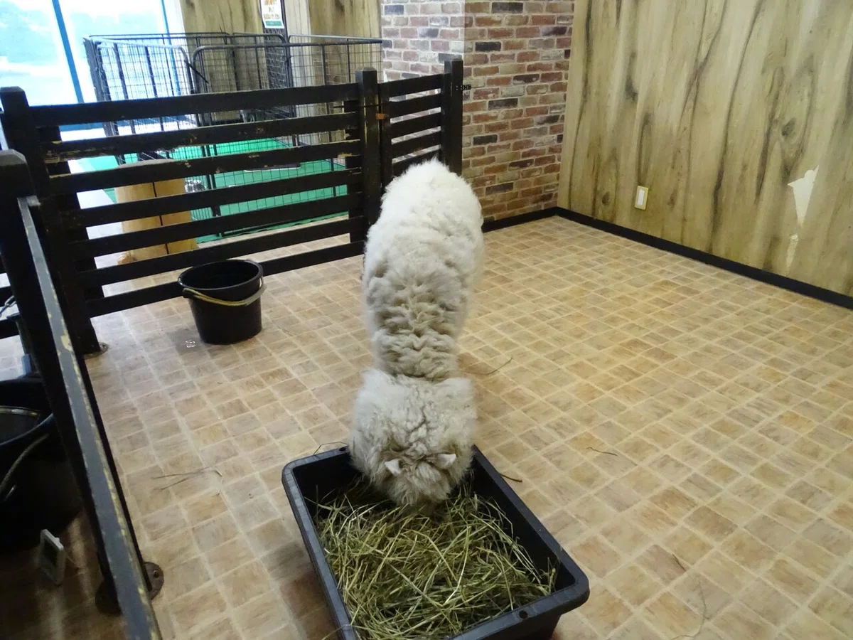 画像213