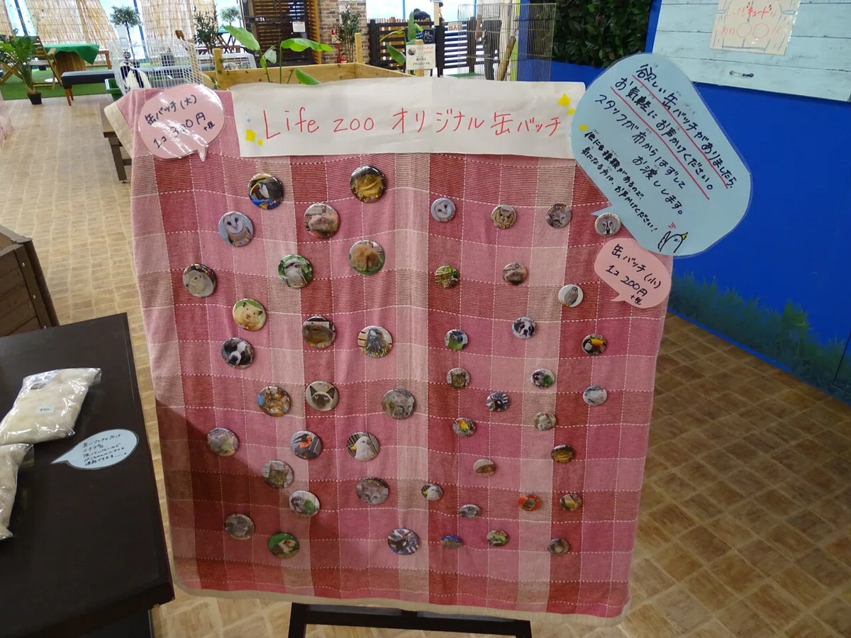 画像203