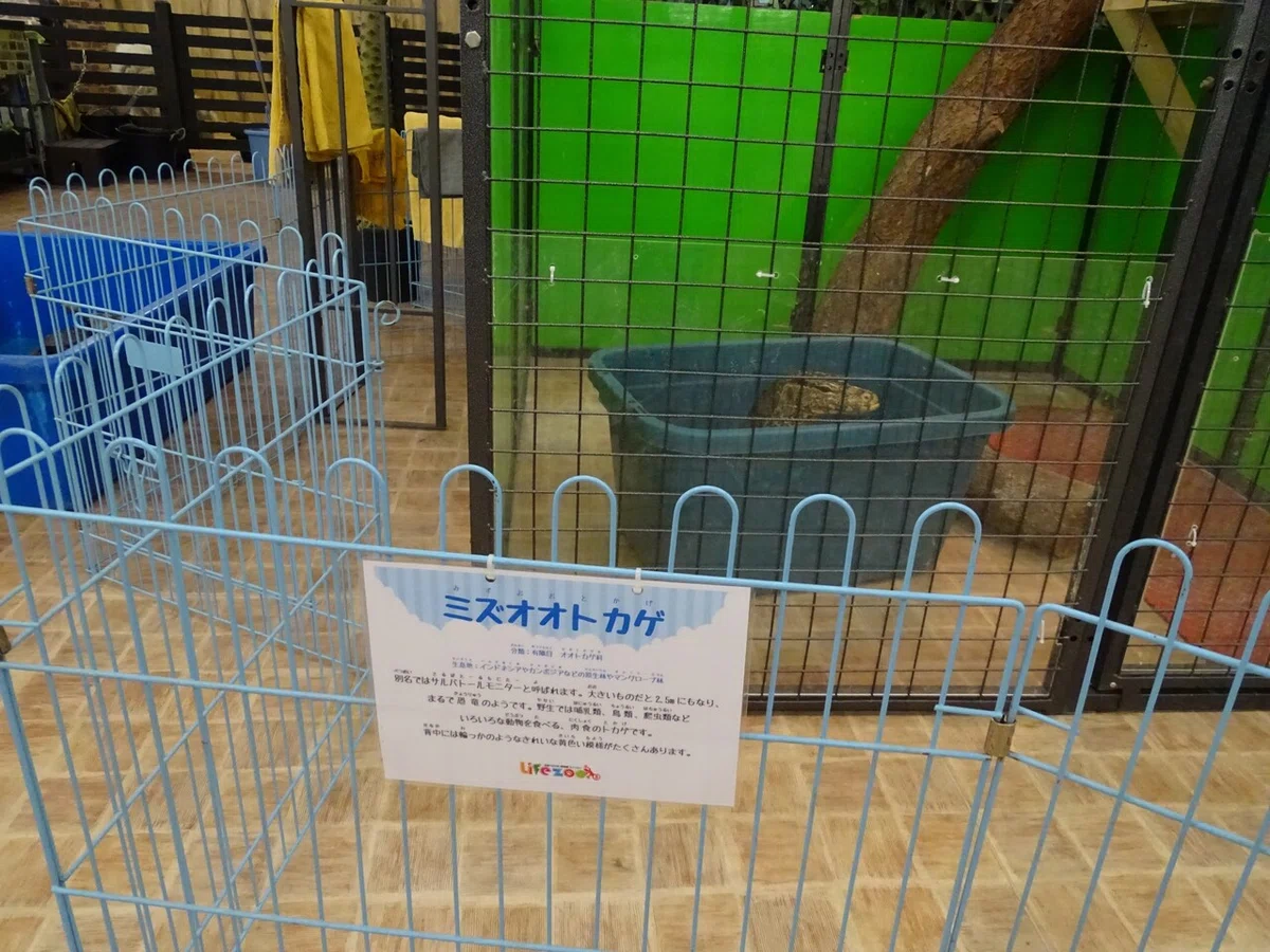 画像180
