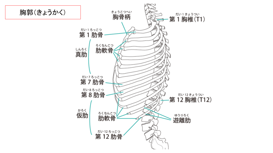 素材３