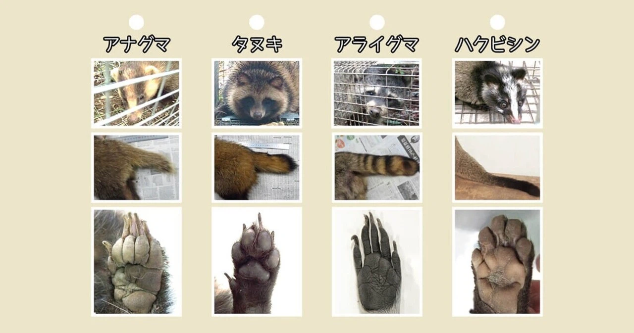 当時のメディア報道・掲載写真