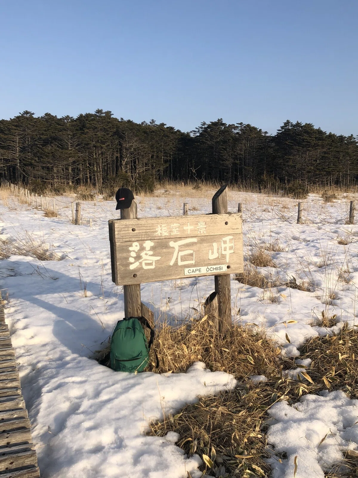 画像12