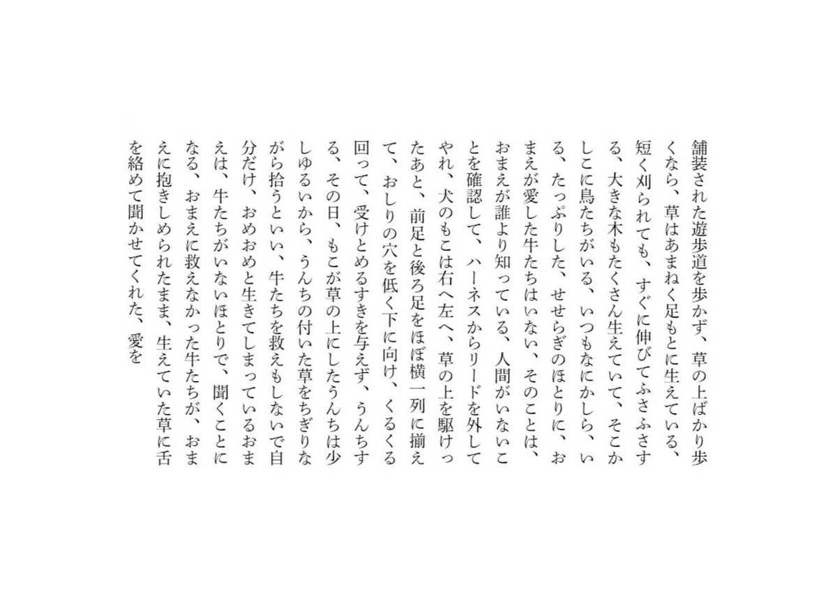 画像304