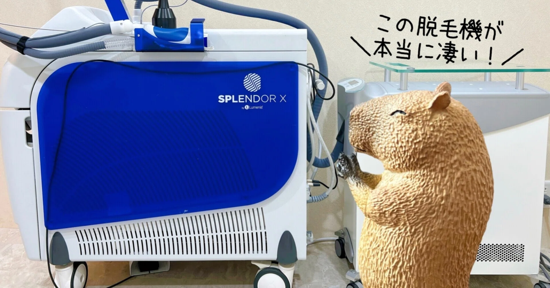 レインボーテスピーディ脱毛 医療脱毛 | ZX-CLINIC【公式】｜大阪梅田・天王寺の美容医療・医療脱毛
