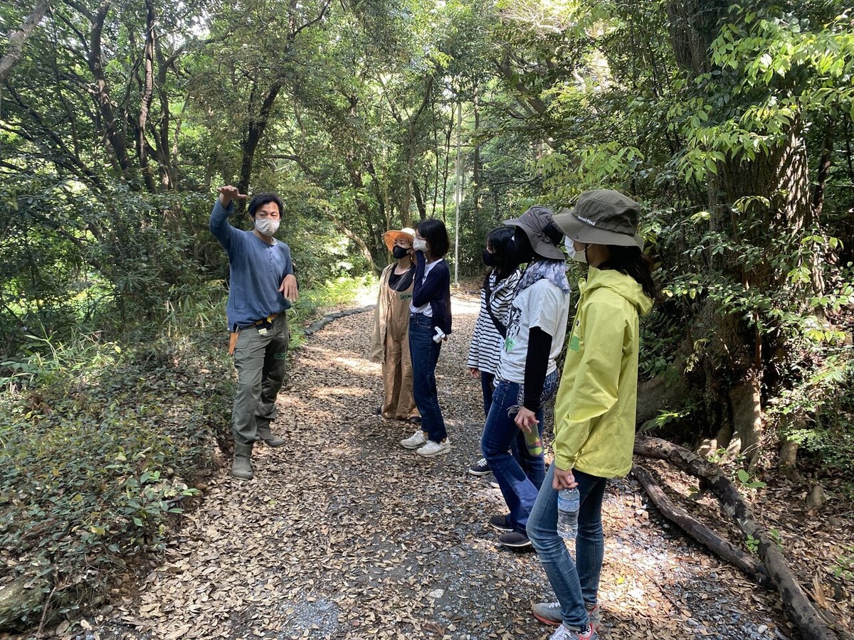 Forest gardening  パーマカルチャー関連 maxresdefault.jpg?sqp=-