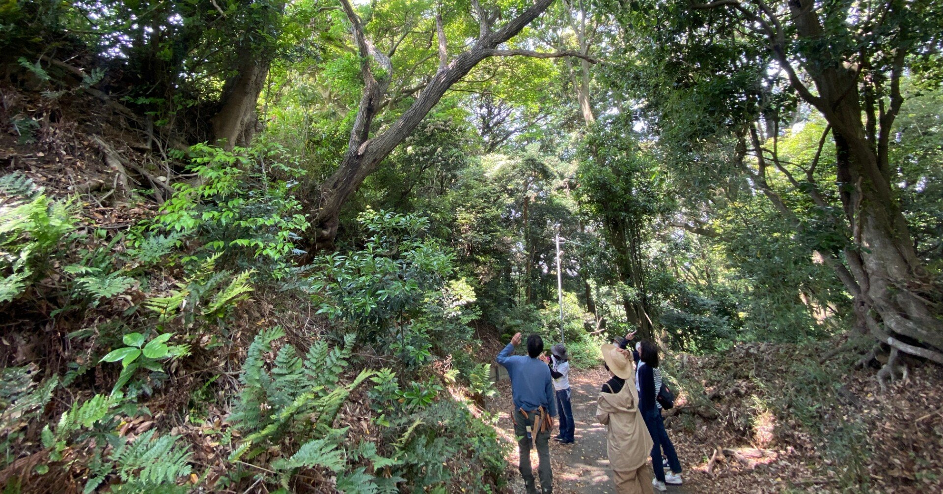 97f3734928fb692504597e65768c95