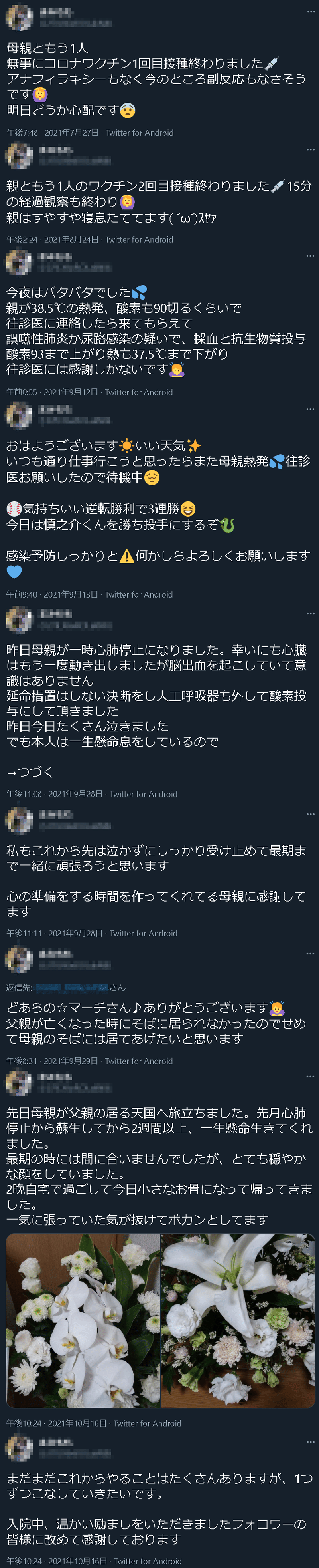 モザイク まみもも　さんの　母