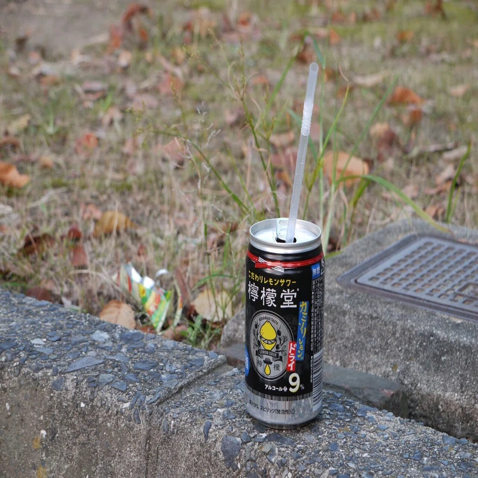 mng...】LUMIX G Vario 14-45mm/F3.5-5.6 ASPH./MEGA O.I.S.が来ました 