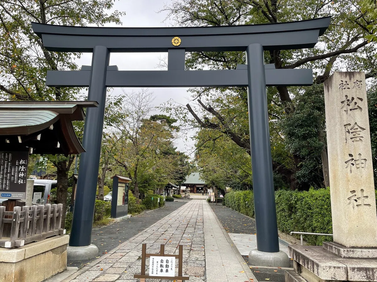 画像12