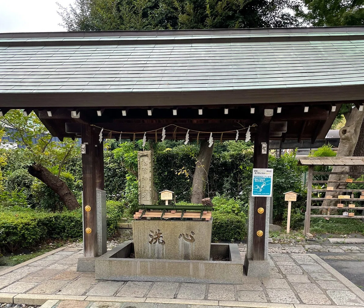 画像17
