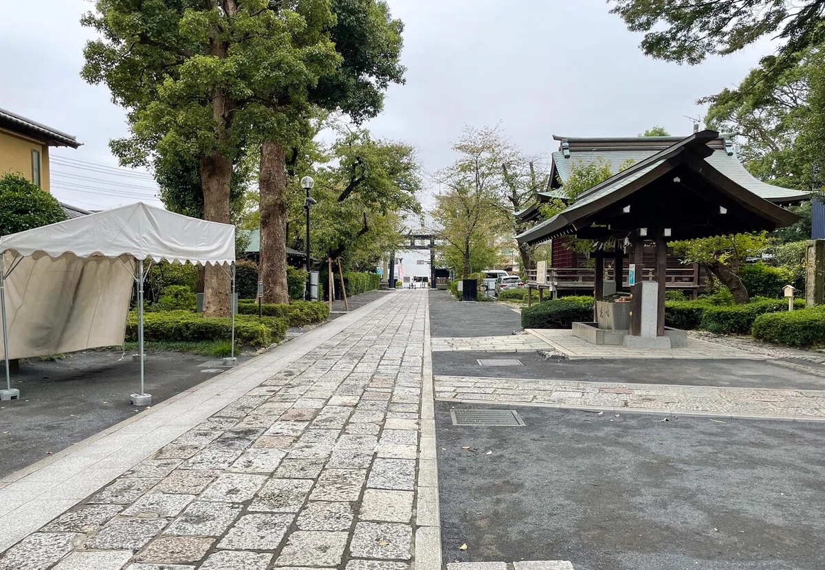 画像19