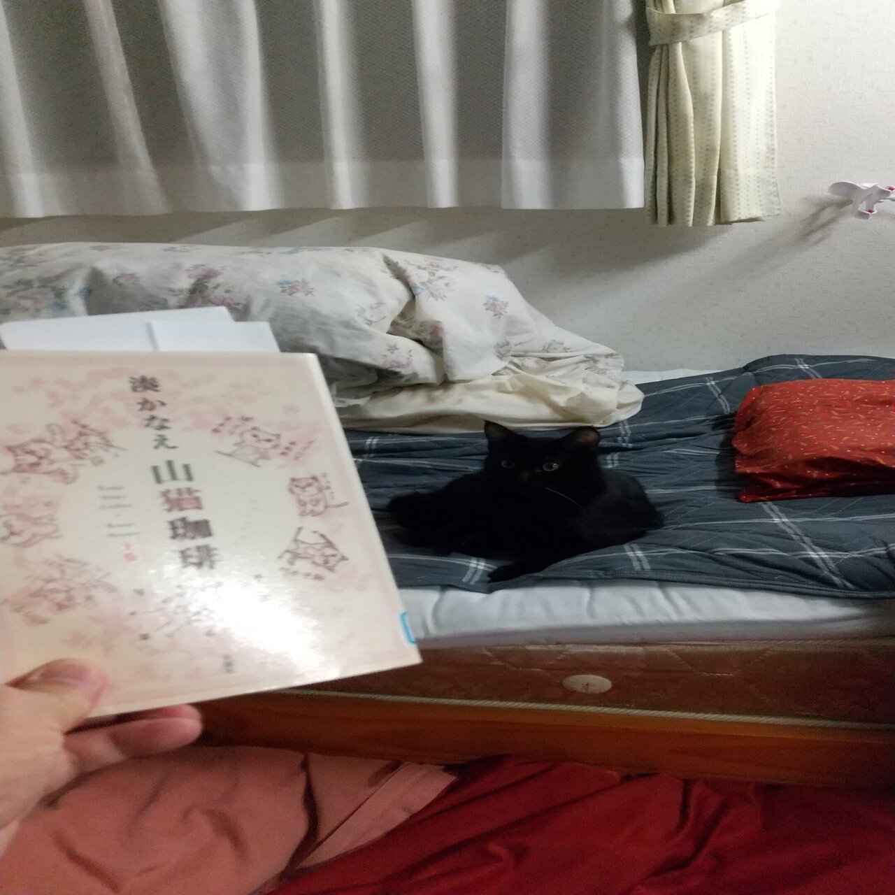 翠 美酢ザクロ ベンネビス ｋ３ Note