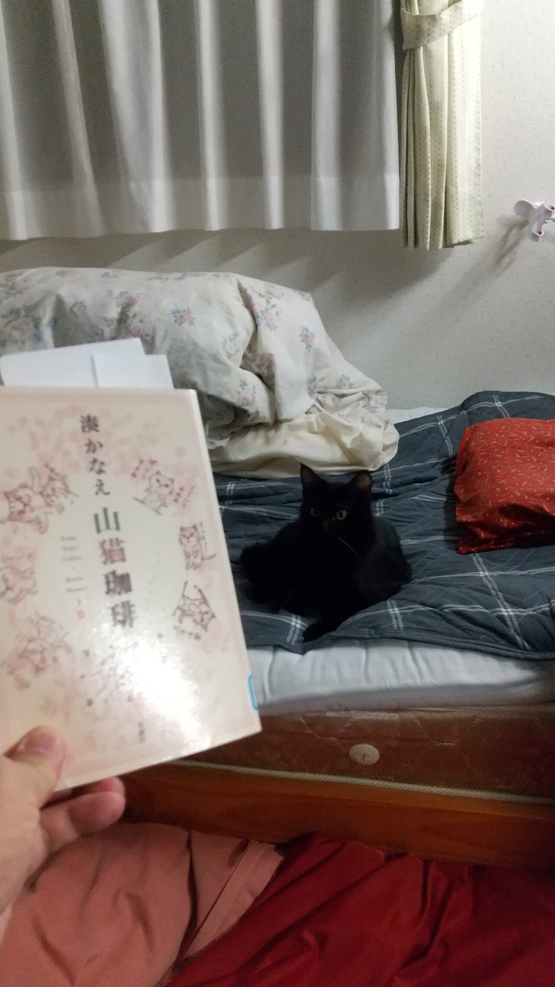 翠 美酢ザクロ ベンネビス k3 Note 翠 美酢ザクロ ベンネビス k3 Note