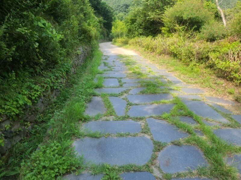 画像13