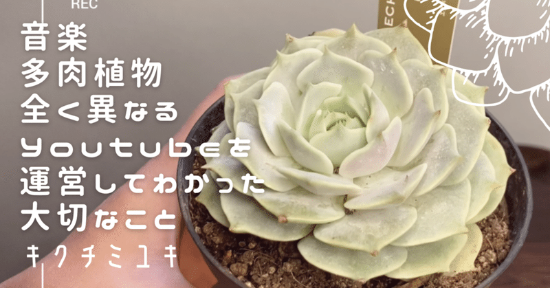 音楽 と 多肉植物 全く異なるyoutubeチャンネルを運営してわかった大切なこと キクチミユキ 仮歌シンガー Note