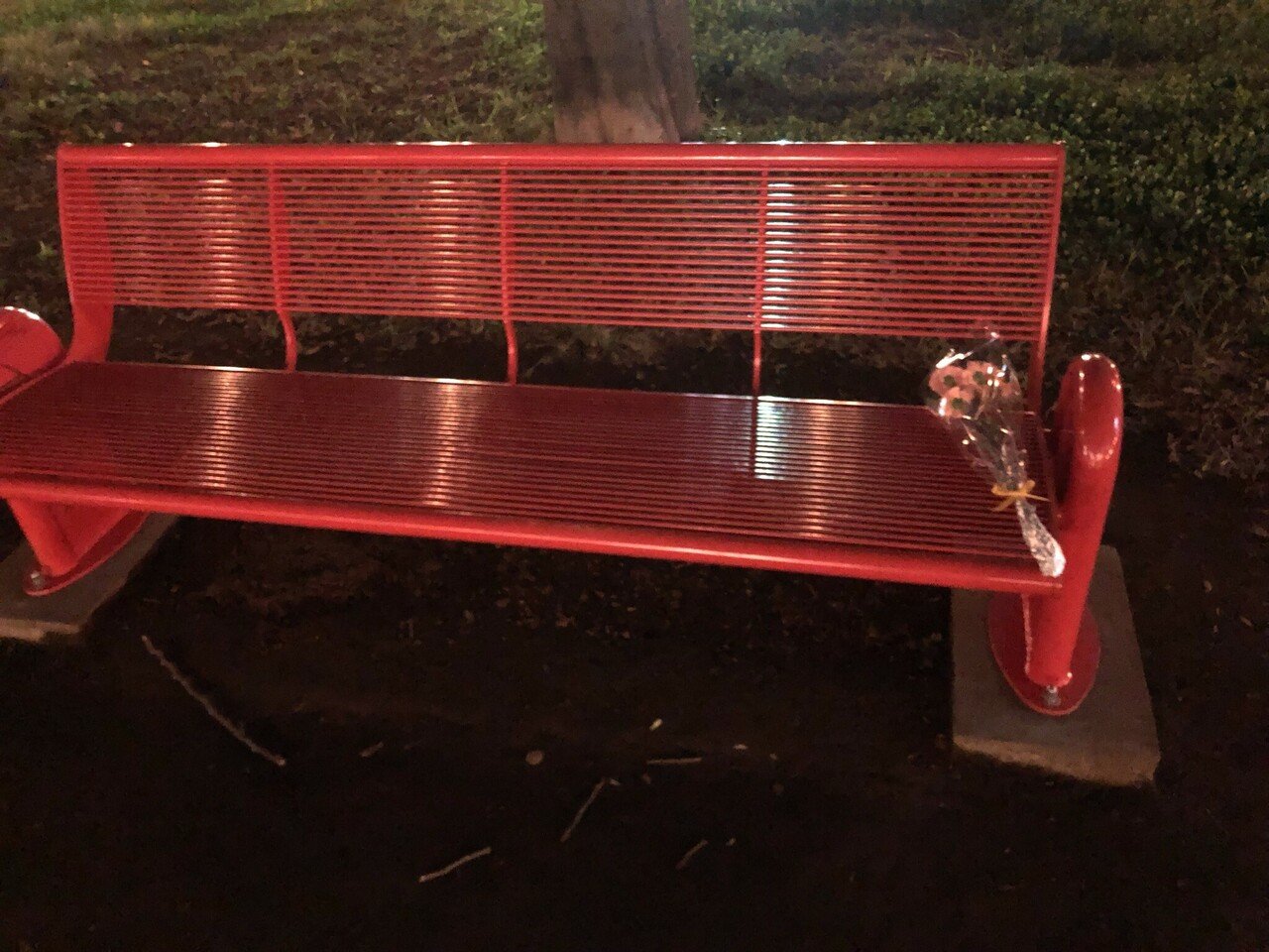 赤い公園 THE LAST LIVE 「THE PARK」Blu-rayを見て|タイヤキ 赤い公園 THE LAST LIVE 「THE PARK」Blu-rayを見て|タイヤキ