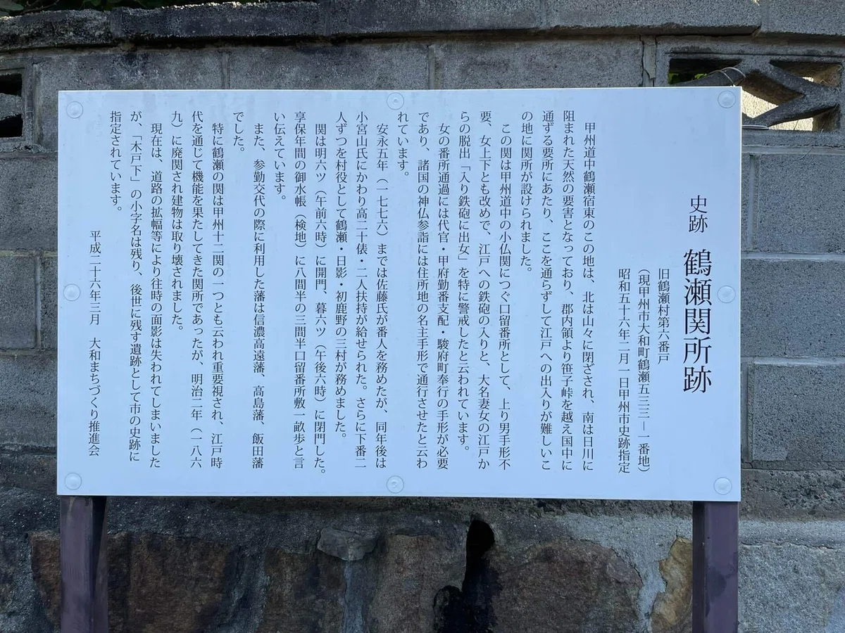 画像14