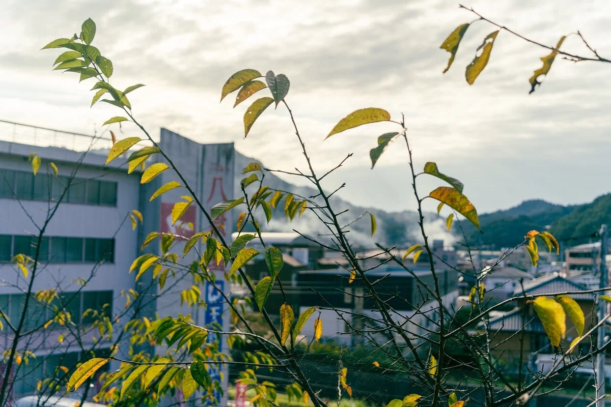 画像17