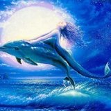 Mermaid Dolphin