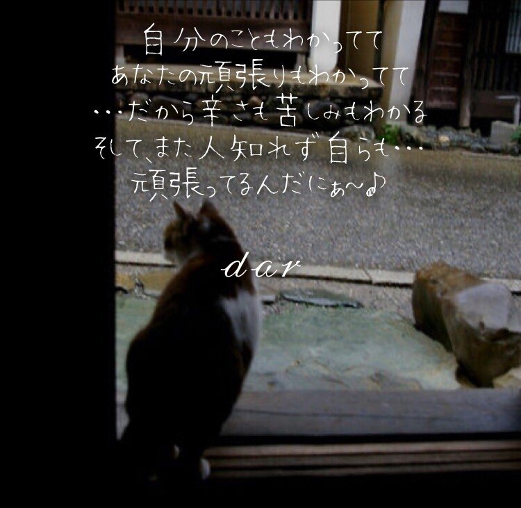 Djあおい の新着タグ記事一覧 Note つくる つながる とどける