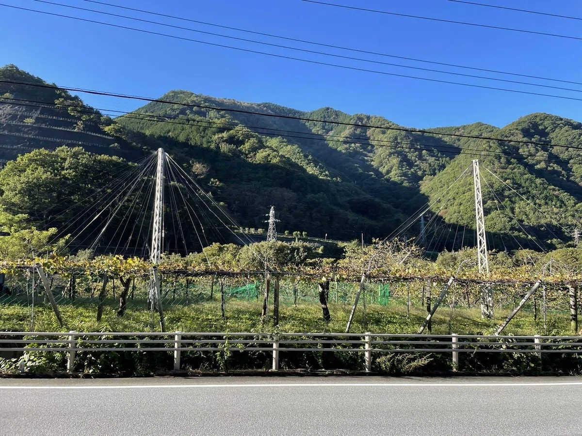 画像24