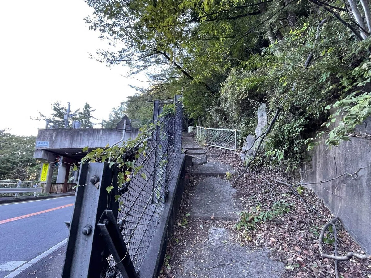 画像27