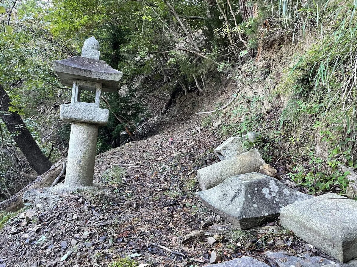 画像29