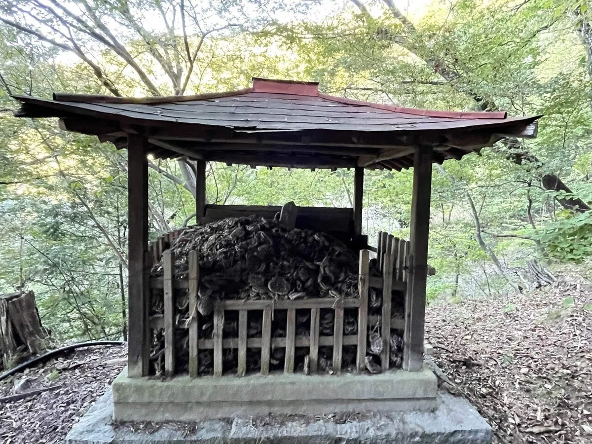 画像31