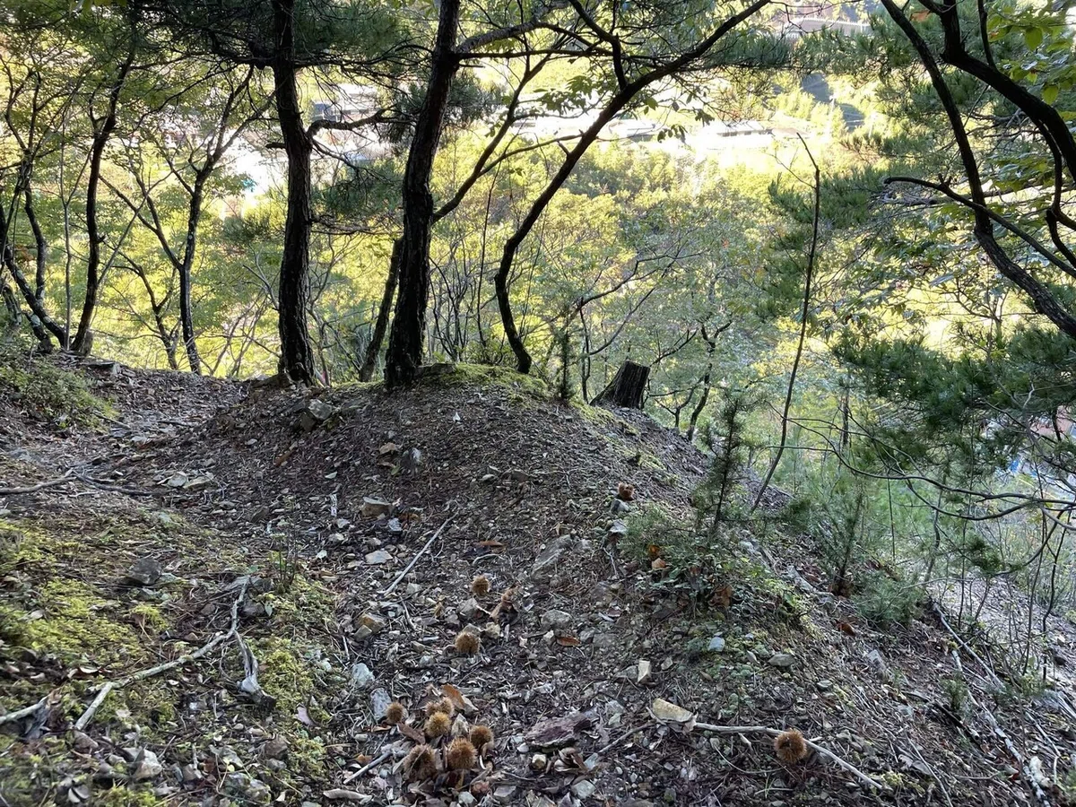 画像35