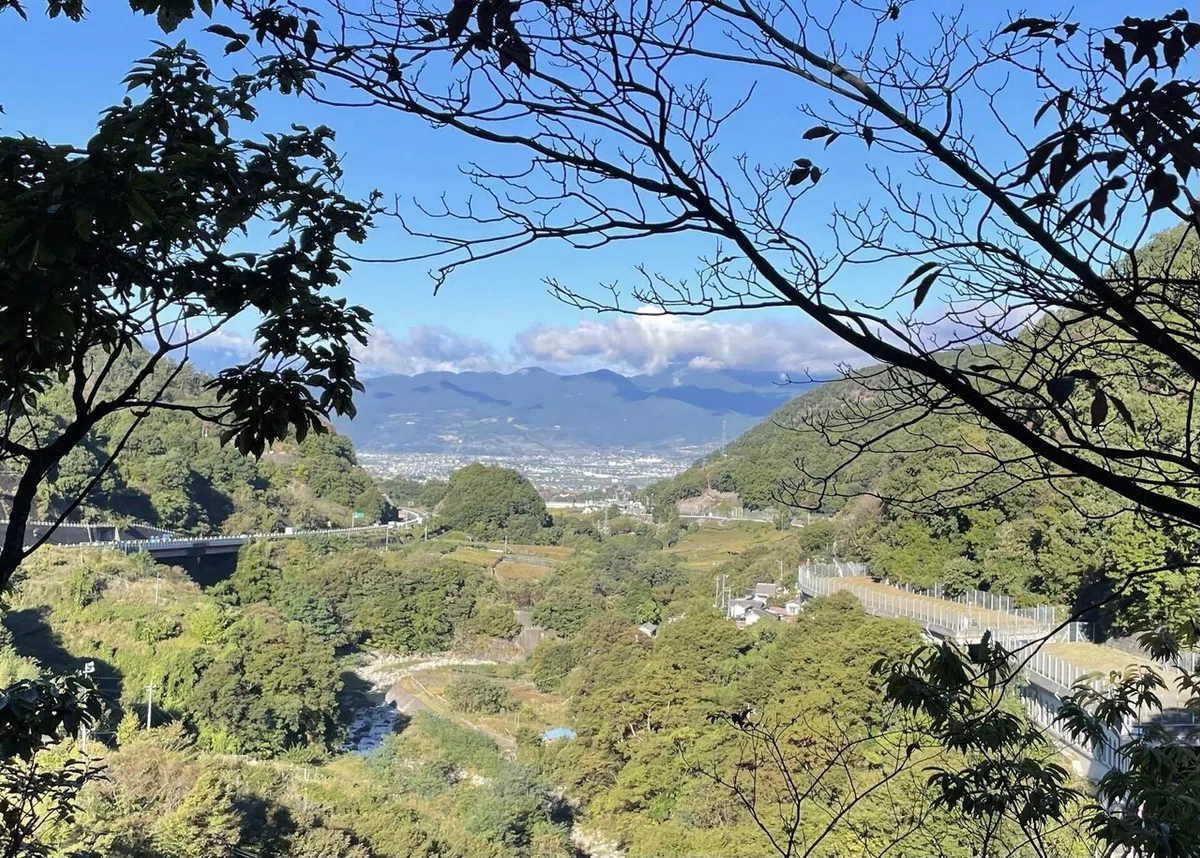 画像46