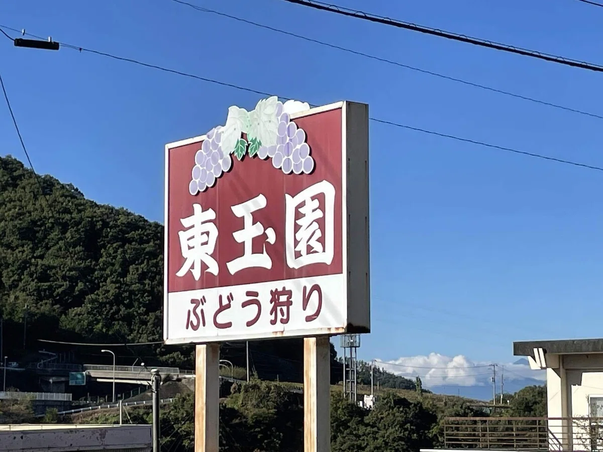 画像52