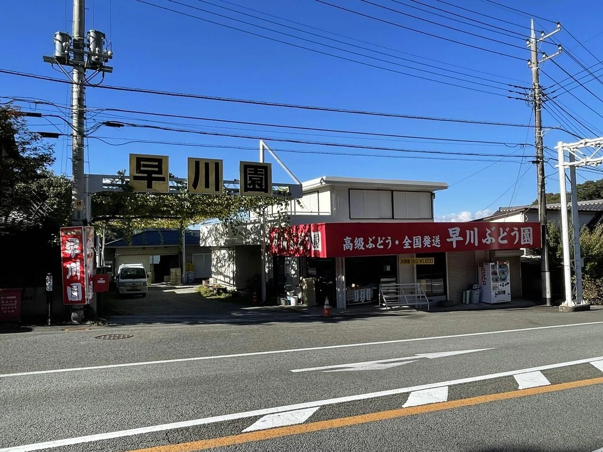 画像53