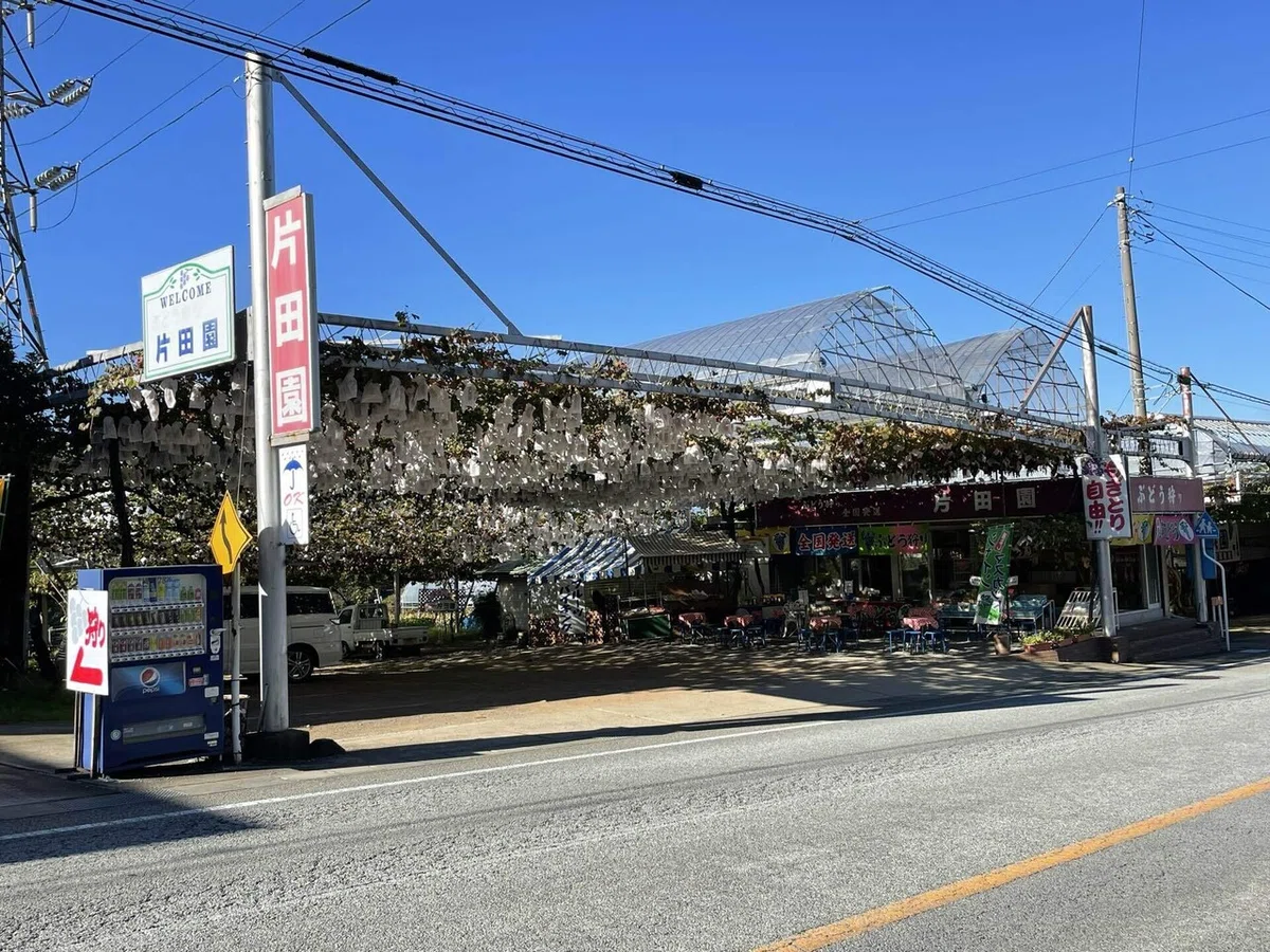 画像55